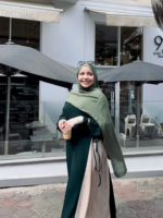 دريس نُسيبة